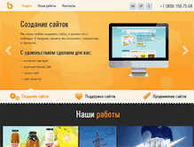 Tablet Screenshot of buro3v.ru